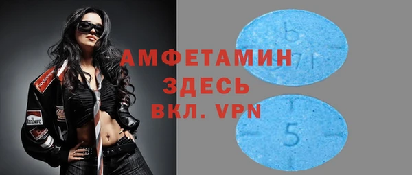 гашик Инта