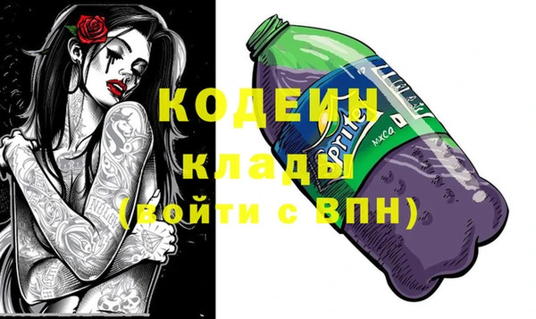 ГАЛЛЮЦИНОГЕННЫЕ ГРИБЫ Инсар