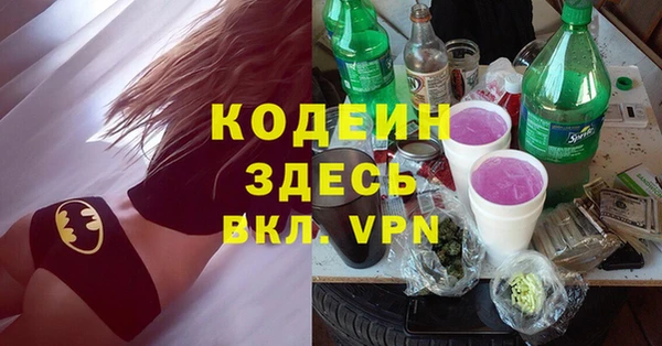 гашик Инта