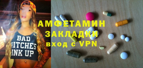 ГАЛЛЮЦИНОГЕННЫЕ ГРИБЫ Инсар