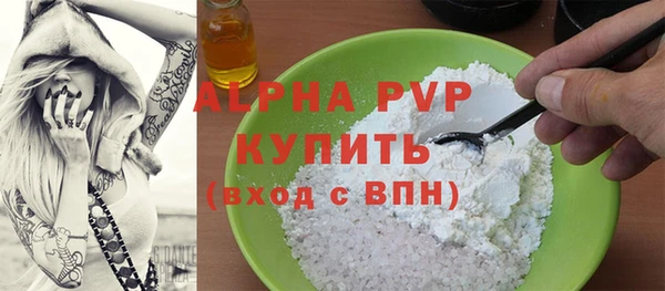 гашик Инта