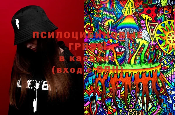ГАЛЛЮЦИНОГЕННЫЕ ГРИБЫ Инсар