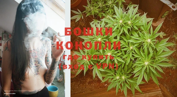 ГАЛЛЮЦИНОГЕННЫЕ ГРИБЫ Инсар