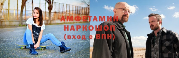 ГАЛЛЮЦИНОГЕННЫЕ ГРИБЫ Инсар