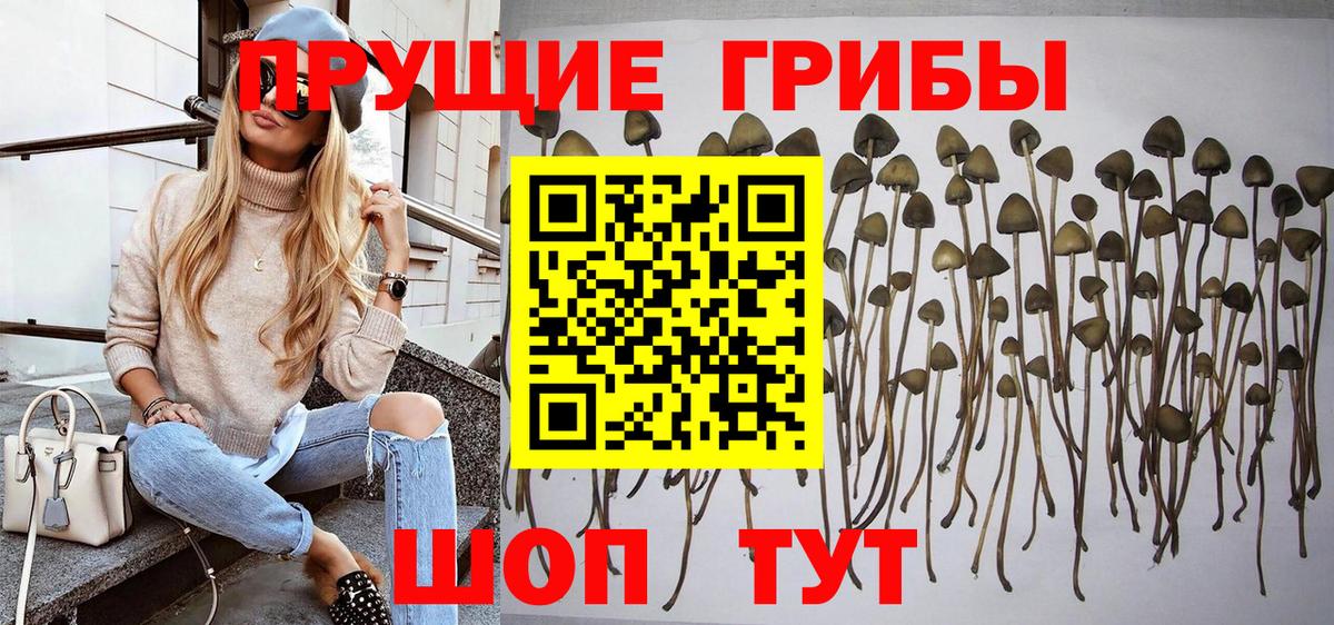 цена наркотик  Вход с VPN  Галлюциногенные грибы прущие грибы  Конаково  Псилоцибиновые грибы прущие грибы 