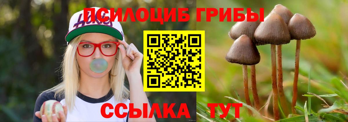 Галлюциногенные грибы мицелий Конаково